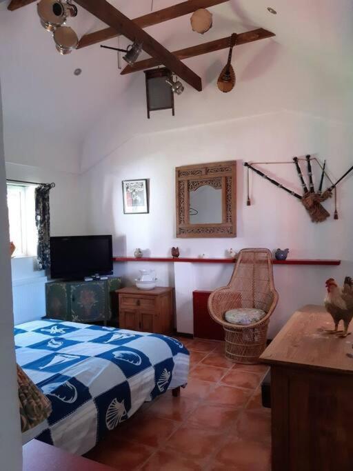 Back2Roots - Beautifully Restored Cottage, Doochary エクステリア 写真