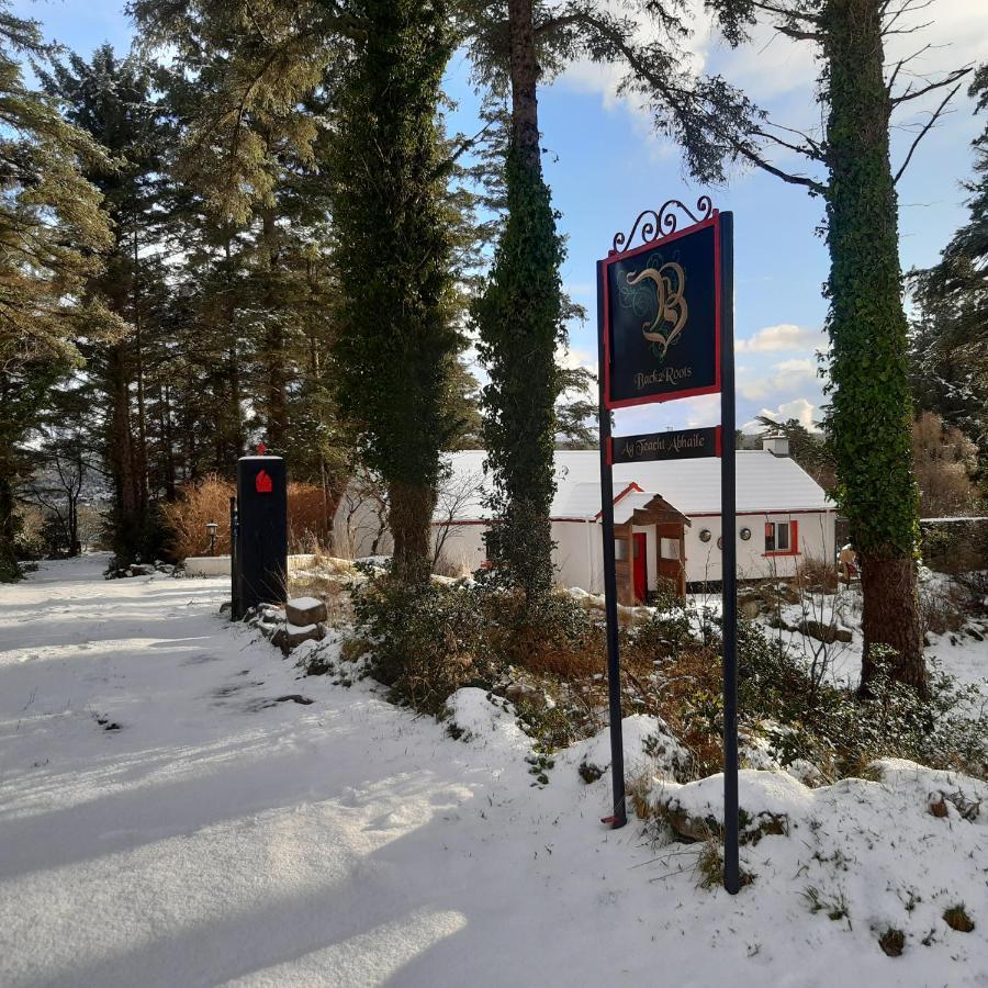 Back2Roots - Beautifully Restored Cottage, Doochary エクステリア 写真